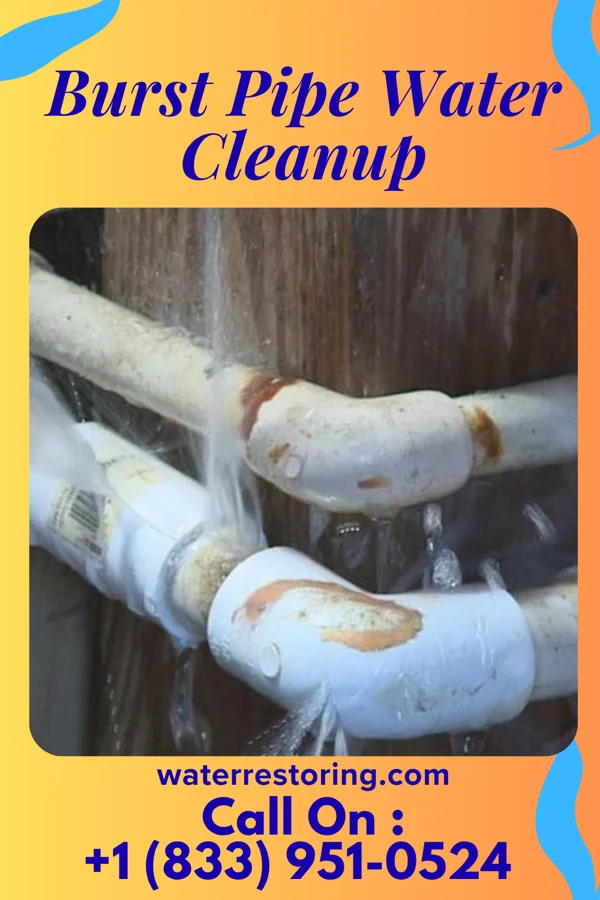 Burst Pipe Water Cleanup in Charleston, UT