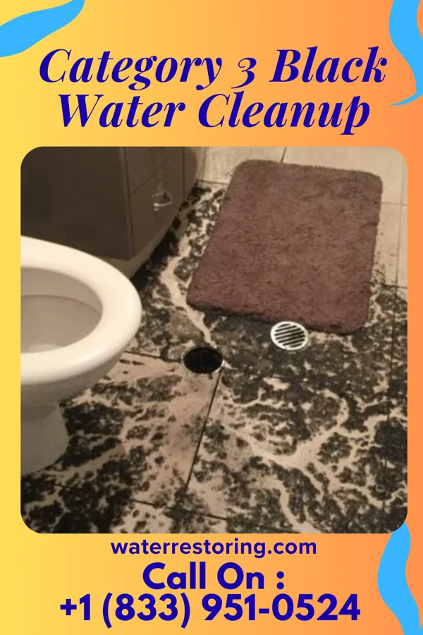 Category 3 Black Water Cleanup in Charleston, UT
