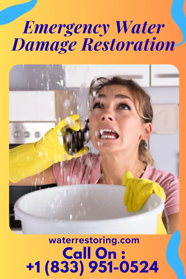 Emergency Water Damage Restoration in Charleston, UT