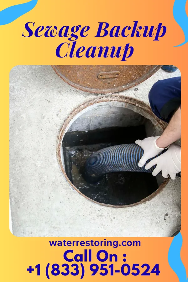 Sewage Backup Cleanup in Charleston, UT