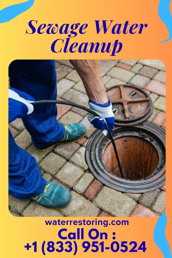 Sewage Water Cleanup in Charleston, UT